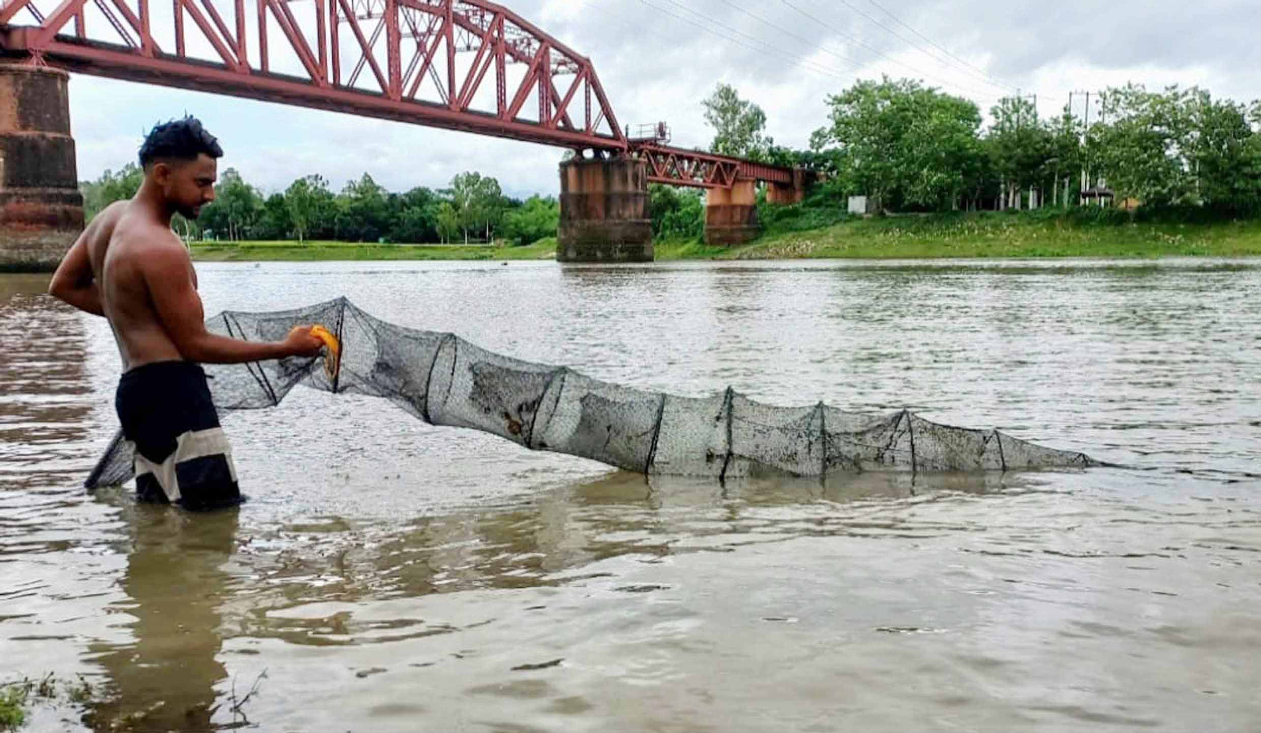 উল্লাপাড়ায় অভয়াশ্রমে চলছে মাছ নিধণ